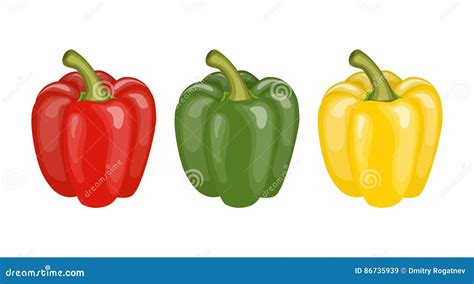 Yellow Red And Green Pepper Stock Vector Illustration Of Grow