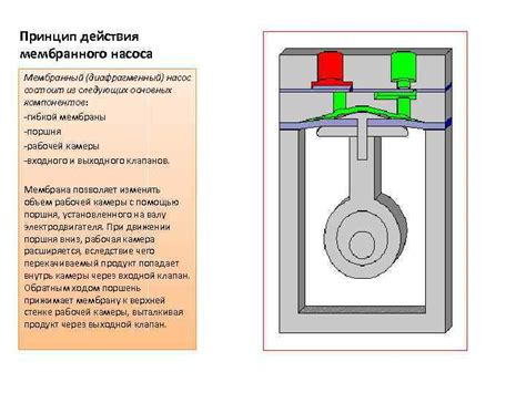 Безмасляные диафрагменные форвакуумные насосы Диафрагменный насос