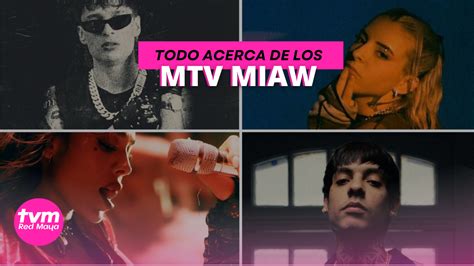 Mtv Miaw 2024 Nominados Cómo Votar Fecha Y Todo Lo Que Debes Saber