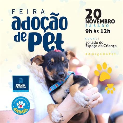 Feira de adoção de animais é realizada neste sábado em Miguel Pereira