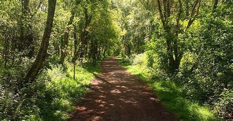 Police Confirm Missing Man Found Safe And Well After Search Of Dumfries