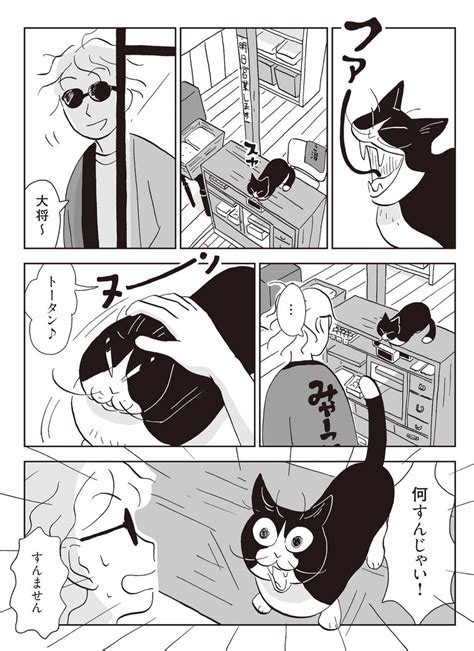 漫画「猫の日ということで🐱「ネコが人を拾って、一緒に銭湯ではたらく話 」その」まとめ