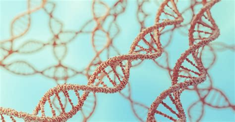 Graft Versus Host Disease And Chromosome Y Encoded Antigens In Sex