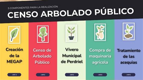 Censo Arbolado Público