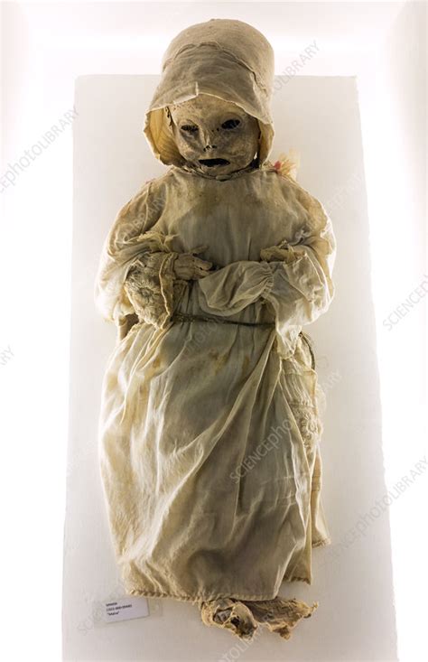 Mummy Museum, Mexico - Stock Image - C025/9681 - Science Photo Library