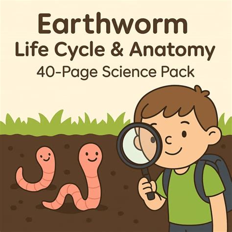 earthworm life cycle anatomy worksheets  page science pack  kids