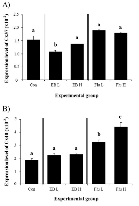 Development And Reproduction