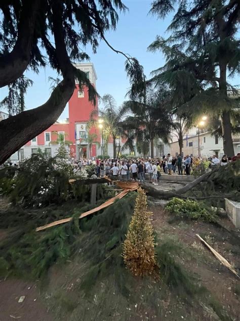 Battipaglia Tragedia Sfiorata In P Moro Cade Grosso Ramo Tra La