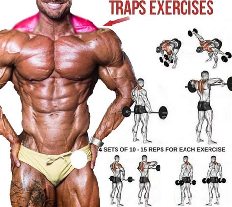 The 3 Best Trap Exercises For Mass Benefits Tips