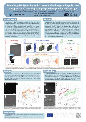 Unveiling the dynamics and structure of eukaryotic flagella: fast and precise 3D tracking using ...