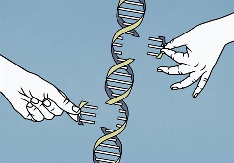 The Human Genome Project Pieced Together Only 92 Of The Dna Now Scientists Have Finally