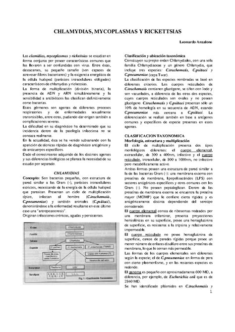 Clamidia Mycoplasama Rickettsia Chlamydias Mycoplasmas Y Rickettsias