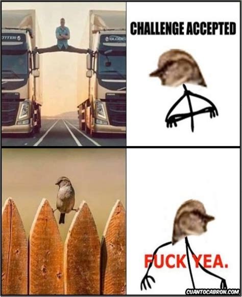 Fuck Meme Subido Por Flor Memedroid