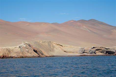 Premium Photo | Paracas national reserve