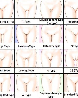 Types Of Pussy Porn Pictures Xxx Photos Sex Images Pictoa
