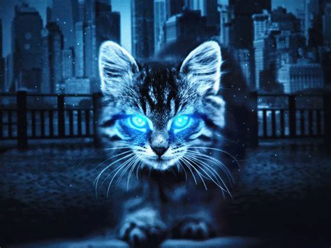 1600x1200 Cat Glowing Eyes 4k Wallpaper,1600x1200 Resolution HD 4k ...