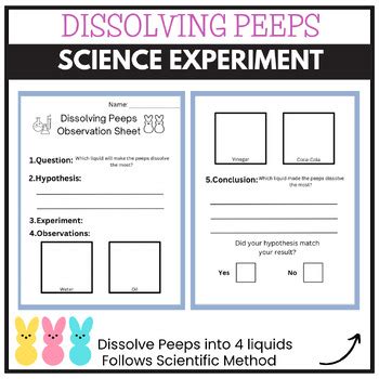 April Dissolving Peeps Science Spring Scientific Method Experiment Easter