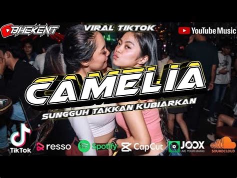 Dj Camelia Dangdut Remix Breakbeat Terbaru Youtube