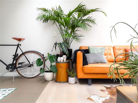 Good Indoor Plants For Living Room | Baci Living Room