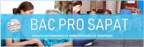 Bac Pro Services Aux Personnes Et Animation Dans Les Territoires Les