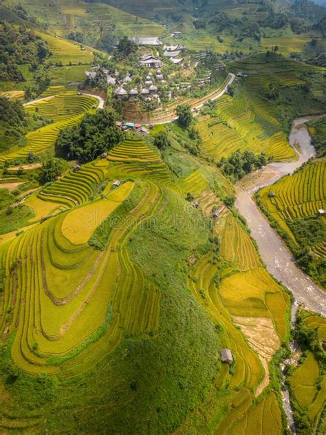 Aerial View Of Golden Rice Terraces At Mu Cang Chai Town Near Sapa City