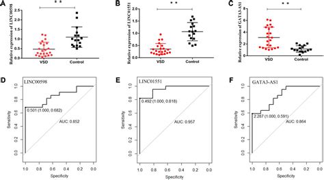 Frontiers Maternal Body Fluid Lncrnas Serve As Biomarkers To Diagnose