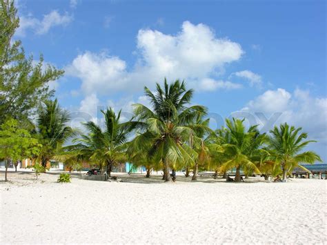 Caribbean Beach in Santo Domingo | Stock image | Colourbox