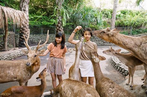 Bali Zoo Discount Tickets