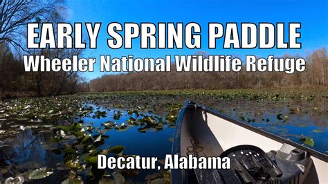 Early Spring On The Wheeler National Wildlife Refuge YouTube