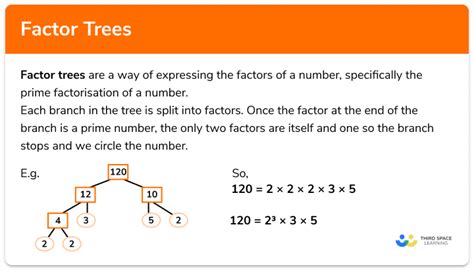 Factor Trees - GCSE Maths - Steps, Examples & Worksheet - Worksheets ...