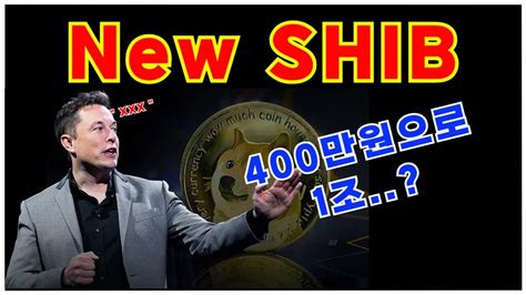 시바이누 코인 New Shib 새로운 시바의 탄생 이건 몇만배나 갈까 시바이누 시바이누코인 시바이누분석