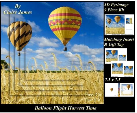 Hot Air Balloons Balloon Flight Harvest Time Pyrimage Pyramid