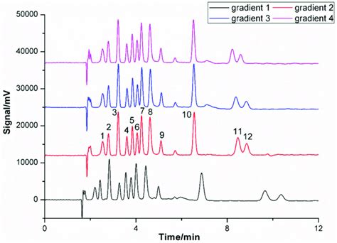 Comparison Of Different Gradient Elution Programs Column Temperature Download Scientific