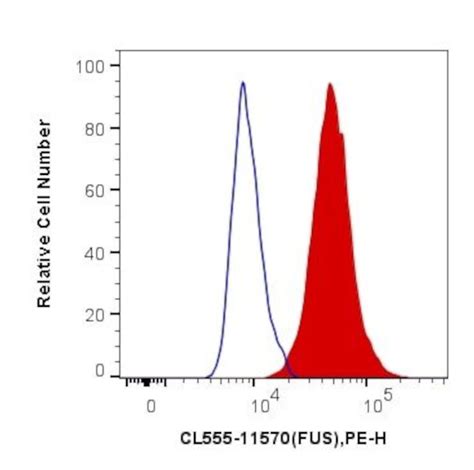 Fustls Polyclonal Antibody Coralite®555 Cl55511570100ul