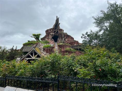 Photos Changes Are Already Happening At Tiana S Bayou Adventure In