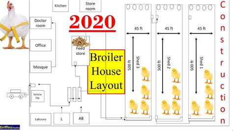 Modern Automatic Broiler Shed Design Construction Of Poultry Shed