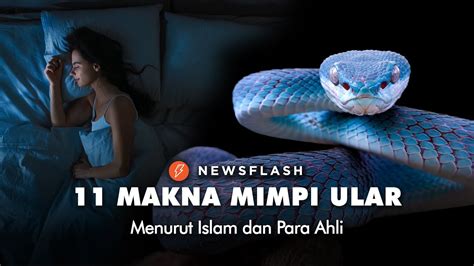 11 Makna Mimpi Ular Menurut Islam Dan Para Ahli Newsflash YouTube