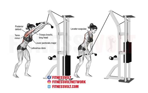 Cable Straight Arm Pulldown Strengthen Your Lats Effectively