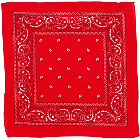 Red Paisley Bandana, 20in x 20in | Party City