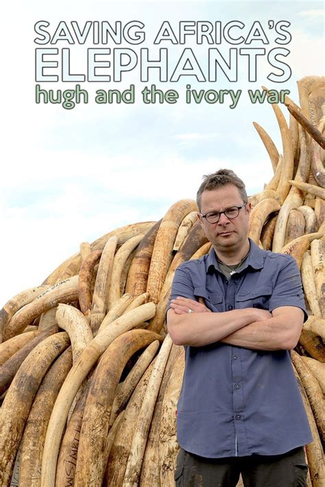 Saving Africa S Elephants Hugh And The Ivory War Pictures Rotten