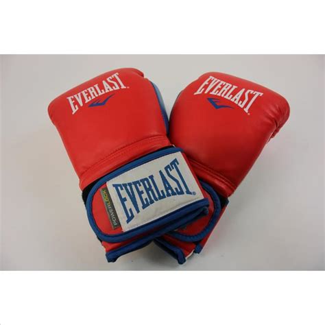 Everlast Boxing Gloves 16 OZ | Property Room