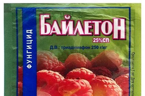 Фунгицид Оксихом: инструкция по применению, меры безопасности и аналоги