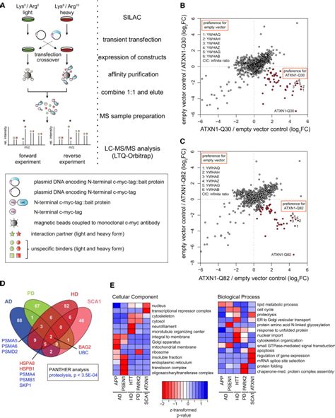 Quantitative Interaction Proteomics Of Neurodegenerative Disease