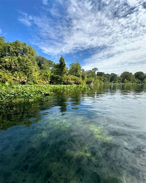 5 Natural Springs Near Orlando - Complete Guide