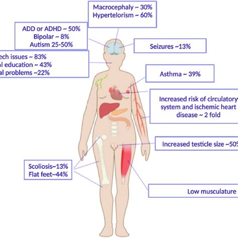 Abnormalities And Diseases Present In 47xyy Males 32 36 90 91