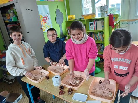 Ulis Fabrication De Boules De Graines Pour Les Oiseaux Ensemble