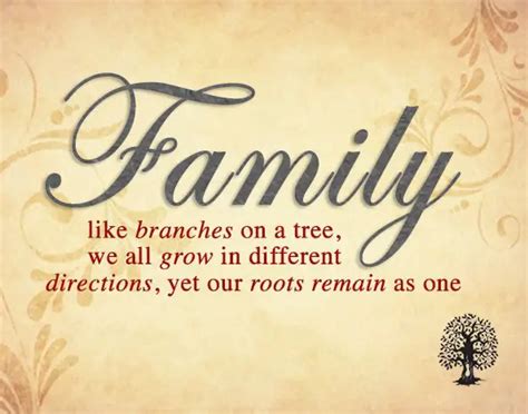 100+ Greatest Quotes About Family Of All Time - BayArt