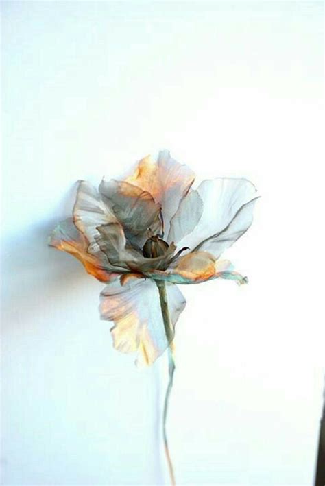 Pin by Lucía compArte on FONDOS VARIOS Flower art Art painting