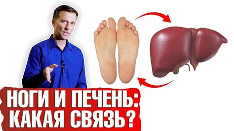 Симптомы больной печени Могут ли ноги рассказать о заболеваниях печени ...