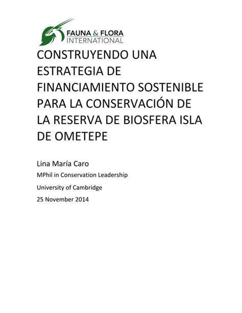 Estrategia De Financiamiento Sostenible Pdf